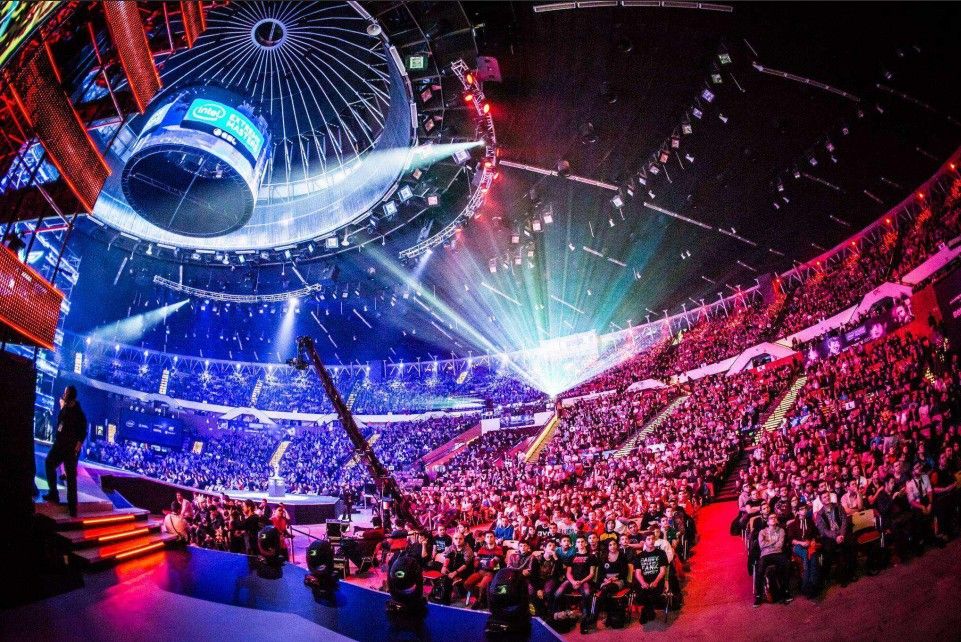 不仅展示了 不仅展示了